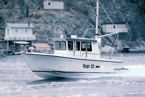 Прогулочный катер с внутренним мотором - 25 MkII - Targa - с рулевой рубкой / с флайбриджем / для спортивной рыбалки