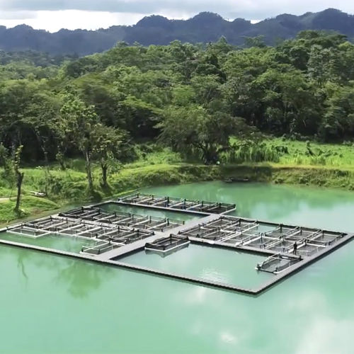 Плавучая платформа - Aquaculture - CANDOCK - для аквакультуры