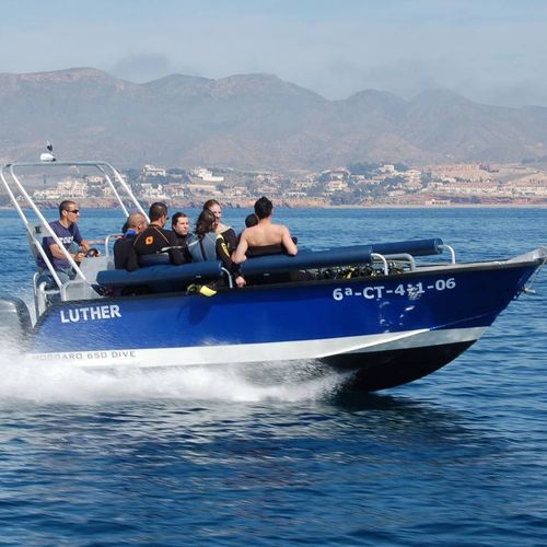 Профессиональный катер катер для дайвинга - 650 - MOGGARO ALUMINIUM YACHTS - c подвесным мотором