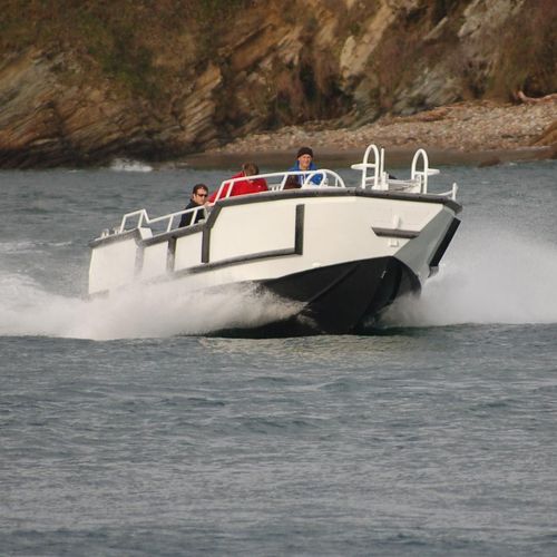 Профессиональный катер рабочее судно - 900 TENDER - MOGGARO ALUMINIUM YACHTS - внутренняя поворотно-откидная колонка / дизельный / из алюминия