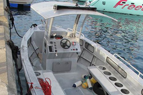 Профессиональный катер катер для дайвинга - M900 - MOGGARO ALUMINIUM YACHTS - водомет для установки на борту / из алюминия