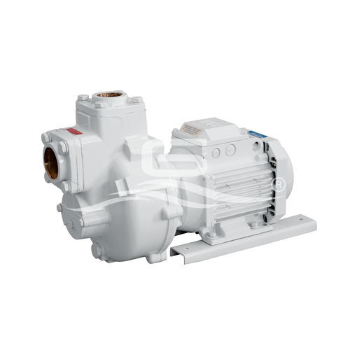 Насос для катера - BMA-G - GIANNESCHI PUMPS & BLOWERS - для трансфера пациента / для «серых» вод / с ротором