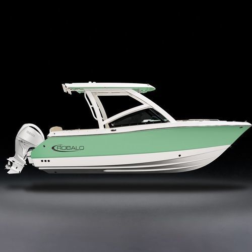 Открытый катер c подвесным мотором - R237 - Robalo - горючее / с двойной консолью / боурайдер