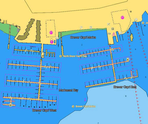 Цифровая карта - NT+ - C-MAP
