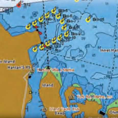 Цифровая карта - MAX - C-MAP