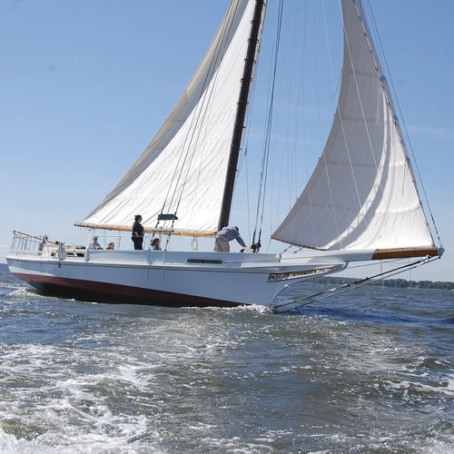 Грот - Ullman Sails - передний парус / несущий парус / для традиционного парусника