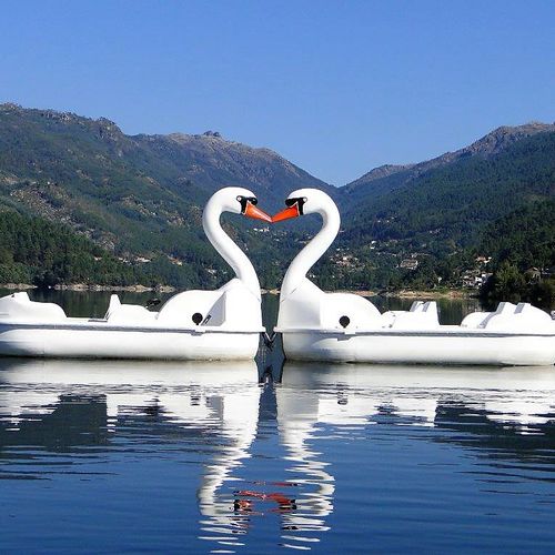 Прогулочный катамаран 4 места - GRAN CISNE - AVENTURAS AQUATICAS - LA NORIA - коммерческий / для компаний аренды / без технического обслуживания