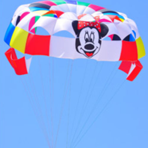Водный парашют по индивидуальному заказу - Skylar - Pegasus Parasails - 1-4 места
