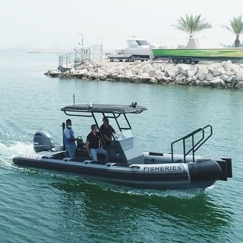 Профессиональный катер катер береговой охраны - 7. M D-Tube - ASIS BOATS - профессиональное рыболовное судно / c подвесным мотором / из алюминия