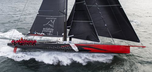 Элитная парусная супер-яхта регата - COMANCHE - Hodgdon Yachts - с открытым кокпитом / из карбона / с наклонным килем