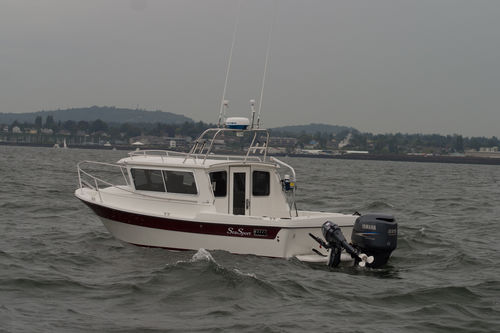 Прогулочный катер с каютой c подвесным мотором - SPORTSMAN 2200 - Sea Sport, Inc - хардтоп / для спортивной рыбалки / 4 спальных места