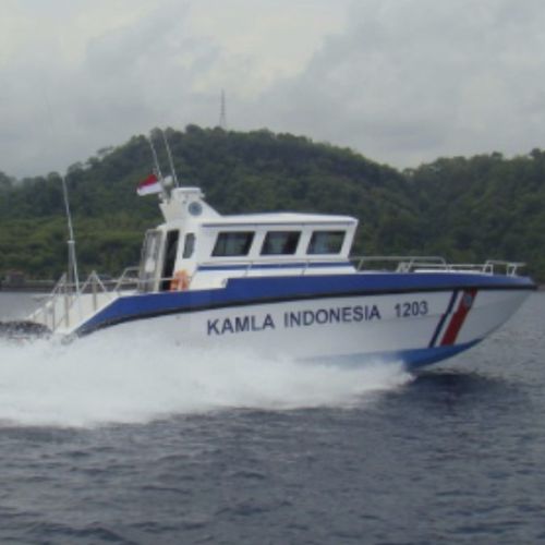 Профессиональный катер катер береговой охраны - X38 - North Sea Boats - катамаран / c подвесным мотором / дизельный