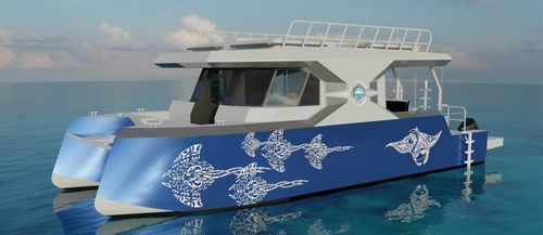 Профессиональный катер пассажирское судно - ARGOCAT 1200 - BORD A BORD - катер для дайвинга / катамаран / c подвесным мотором