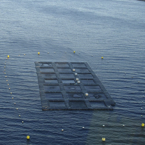 Плавучий док - Fish farming - Cubisystem - для причаливания / для аквакультуры / из пластика