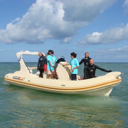 Надувная лодка c подвесным мотором - 625 CL - ESPADON CONCEPT - двухмоторная / полужесткая / с центральной консолью