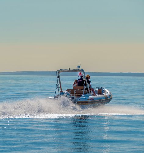 Надувная лодка c подвесным мотором - 550 PRO  - ESPADON CONCEPT - полужесткая / с центральной консолью / для дайвинга