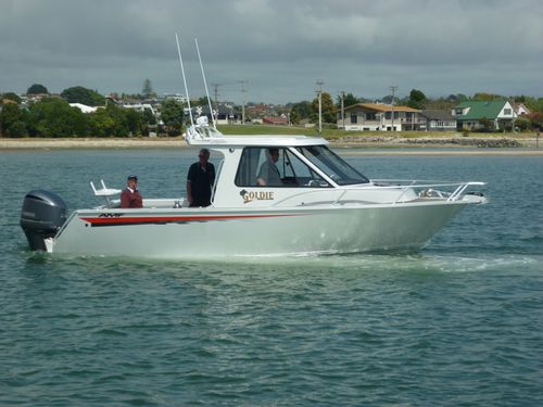 Прогулочный катер с каютой c подвесным мотором - 720 Pro  - AMF Boat Company - хардтоп / спортивный / для спортивной рыбалки