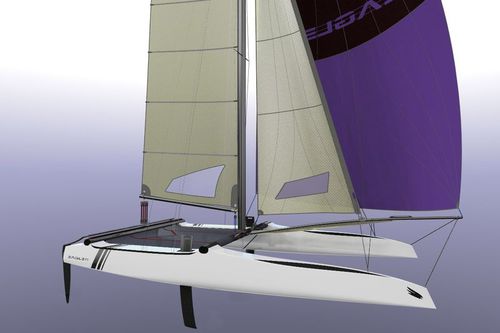 Спортивный катамаран для прибрежных гонок - 20 C - Eagle Catamarans - двухместный / с двойной трапецией / асимметричный спинакер