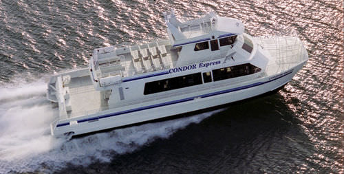 Профессиональный катер прогулочный катер - Condor Express - All American Marine - катамаран / водомет для установки на борту / дизельный