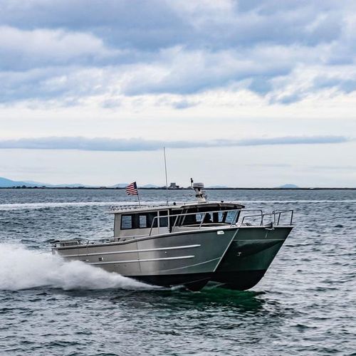 Профессиональный катер профессиональное рыболовное судно - 4216-CTC - Armstrong Marine - катамаран / с внутренним мотором / дизельный
