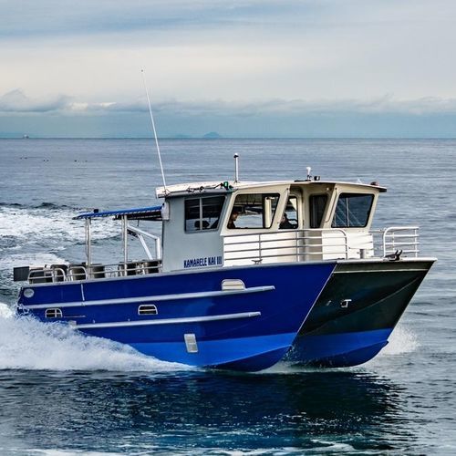 Профессиональный катер прогулочный катер - 3513-CTC | PaxCat - Armstrong Marine - катамаран / c подвесным мотором / из алюминия
