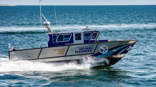 Профессиональный катер катер береговой охраны - 3813-RCM - Armstrong Marine - с внутренним мотором / дизельный / из алюминия