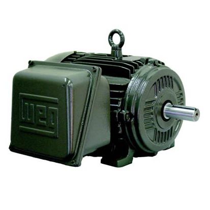Двигатель in-bord - W21 TEFC IP55 - Weg Electric Motors - электрический / для судна / для профессионального катера