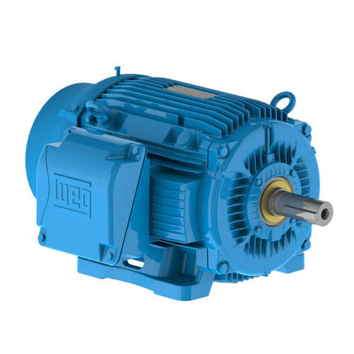 Двигатель in-bord - W22 IEEE-841™ Petrochem Motors - NEMA Premium® Efficiency - Weg Electric Motors - электрический / для профессионального катера / для судна
