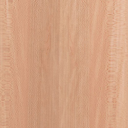 Панель фанеровка - Sycamore - Kuiper Holland - Superyacht Interior Panels - из дерева