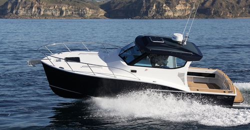 Прогулочный катер с каютой с внутренним мотором - SEMIFLY 28 - Dickey Boats Limited - открытый / для спортивной рыбалки