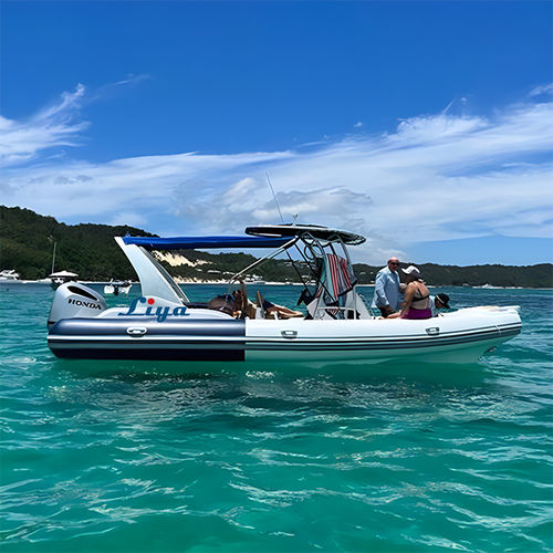 Надувная лодка c подвесным мотором - RIB750-C - Qingdao Lian Ya Boat Co.,Ltd. - горючее / двухмоторная / полужесткая