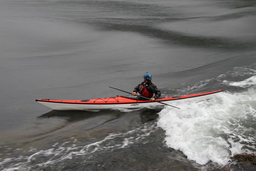 Каяк для спортивного туризма - Raven  - Eddyline Kayaks - морской / для взрослых / одноместный