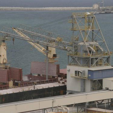 Пневматический корабельный разгрузчик - ALUMINA - NEUERO Industrietechnik GmbH - непрерывного действия / мобильный / на направляющей
