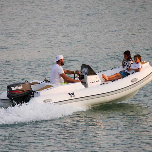 Надувная лодка c подвесным мотором - PT400 - Tiger Marine - RIB / открытая / с боковой консолью