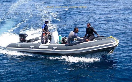 Профессиональный катер катер для дайвинга - DM600 - Tiger Marine - c подвесным мотором / надувная лодка с полужестким корпусом