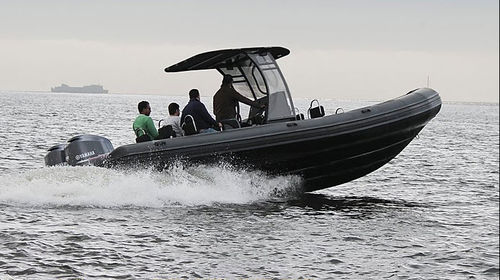 Профессиональный катер катер береговой охраны - DM850 - Tiger Marine - катер для дайвинга / c подвесным мотором / надувная лодка с полужестким корпусом