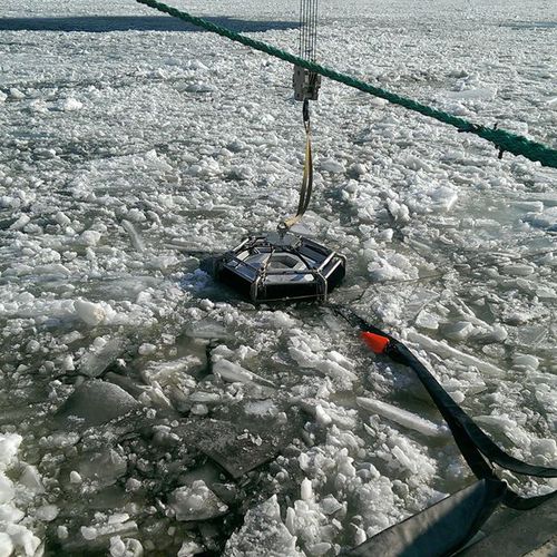 Нефтеуловитель с множеством щеток - Polar Bear - Desmi