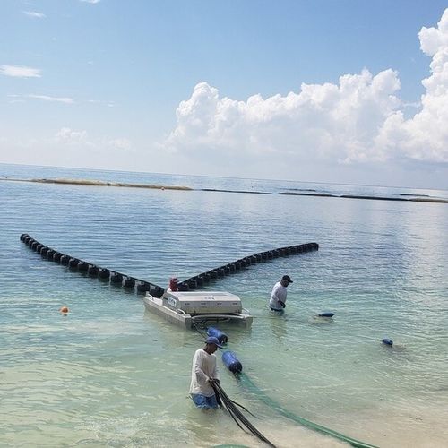 Ленточный нефтеуловитель - Seaweed  - Desmi - для спокойной воды