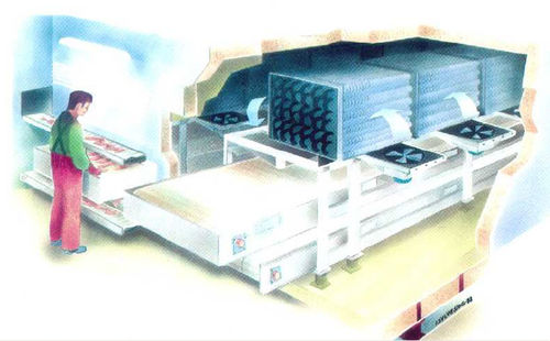 Промышленная морозильная камера для рыболовного судна - IQF - Teknotherm