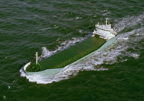 Грузовое судно минибалкер - mv Arklow Rebel - Barkmeijer Stroobos BV