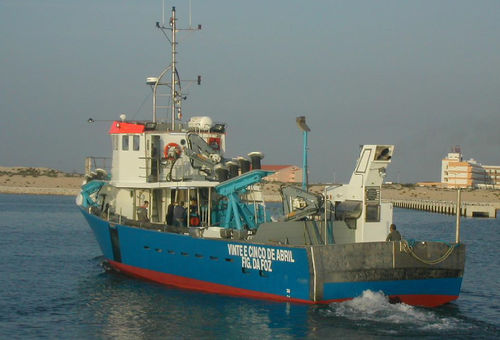 Профессиональный катер невода - 24 - Estaleiros Navais de Peniche - с внутренним мотором / стеклопластик