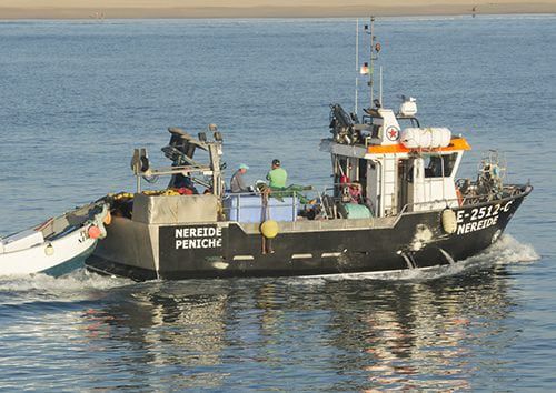 Профессиональный катер невода - 12 - Estaleiros Navais de Peniche - с внутренним мотором / стеклопластик / полужесткий