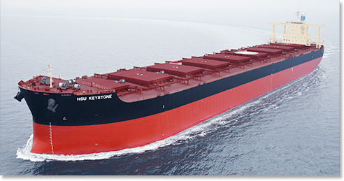 Грузовое судно балкер - Imabari Shipbuilding Co., Ltd. - крупнотоннажное судно