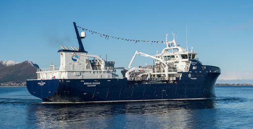Профессиональное рыболовное судно траулер - RONJA OCEAN - Kleven Maritime AS - перевозчик живой рыбы