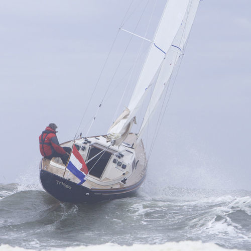 Круизный парусник - SC 8 M  - Saffier Yachts - традиционный / дэйсэйлер / 1 каюта