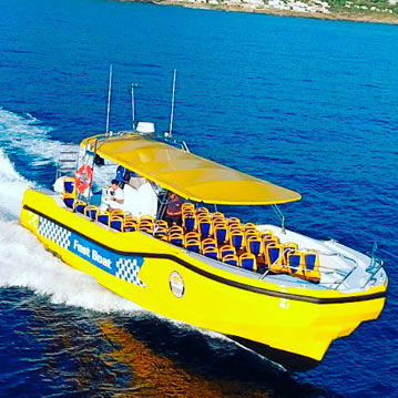 Профессиональный катер пассажирское судно - 50 - QUER PROFESSIONAL BOATS - катер для дайвинга / внутренняя поворотно-откидная колонка / Z-образный привод