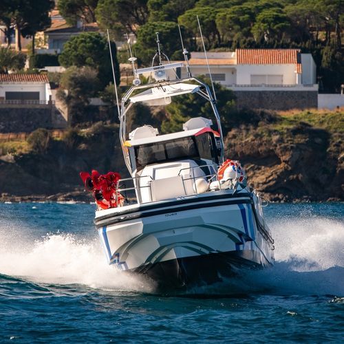 Профессиональный катер научно-исследовательское учебное судно - Q80 Explorer - QUER PROFESSIONAL BOATS - с внутренним мотором / из композита, армированного стекловолокном / из карбона