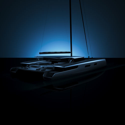Парусная яхта катамаран - C.100 - Black Pepper Yachts - гоночно-регатная / с открытым кокпитом / из карбона