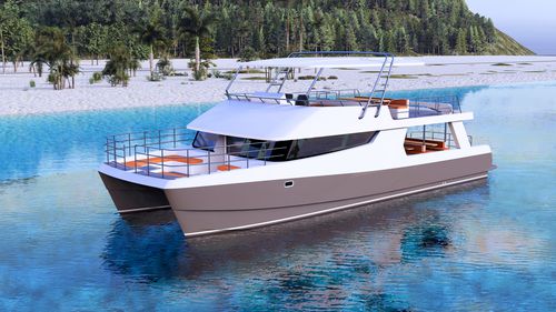 Круизный пассажирский паром - 1800 Tour transit  - Powerplay Power Catamarans - катамаран / RINA / из стекловолокна