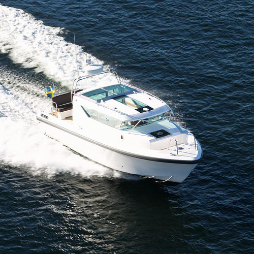 Быстроходный катер с внутренним мотором - 290 sw - Delta POwerboats - хардтоп / высокоэффективный / 1 каюта